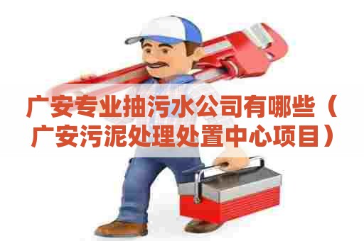 广安专业抽污水公司有哪些（广安污泥处理处置中心项目）