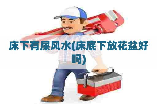 床下有屎风水(床底下放花盆好吗)