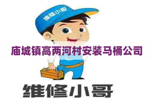 庙城镇高两河村安装马桶公司