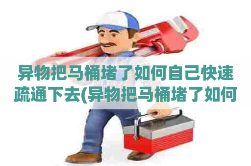 异物把马桶堵了如何自己快速疏通下去(异物把马桶堵了如何自己快速疏通下水道)