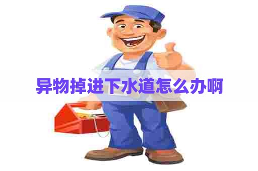 异物掉进下水道怎么办啊