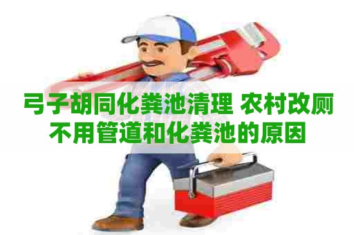 弓子胡同化粪池清理 农村改厕不用管道和化粪池的原因 弓子胡同化粪池清理 农村改厕不用管道和化粪池的原因