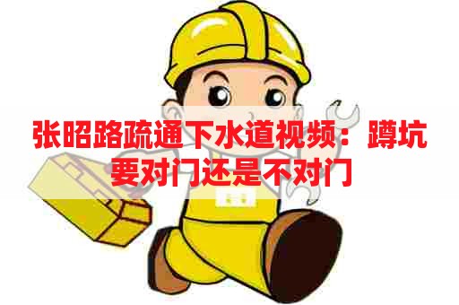 张昭路疏通下水道视频：蹲坑要对门还是不对门