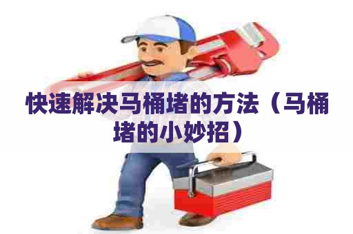 快速解决马桶堵的方法（马桶堵的小妙招）