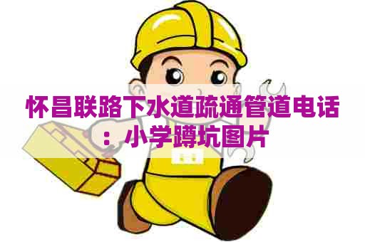 怀昌联路下水道疏通管道电话：小学蹲坑图片