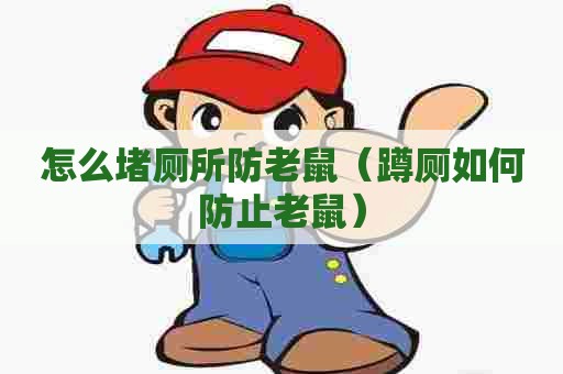 怎么堵厕所防老鼠（蹲厕如何防止老鼠）