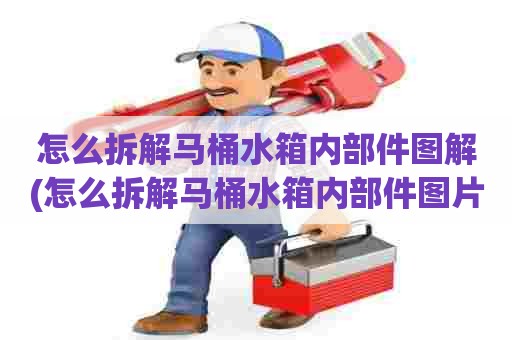 怎么拆解马桶水箱内部件图解(怎么拆解马桶水箱内部件图片)