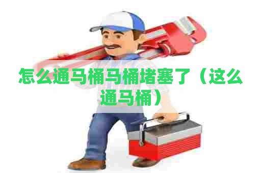 怎么通马桶马桶堵塞了（这么通马桶）