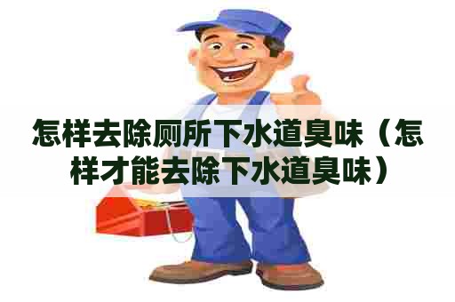 怎样去除厕所下水道臭味(怎样才能去除下水道臭味) 怎样去除厕所下水道臭味(怎样才能去除下水道臭味)