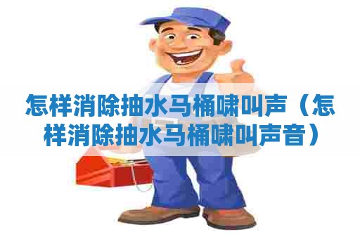 怎样消除抽水马桶啸叫声（怎样消除抽水马桶啸叫声音）