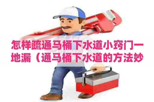 怎样疏通马桶下水道小窍门一地漏（通马桶下水道的方法妙招）