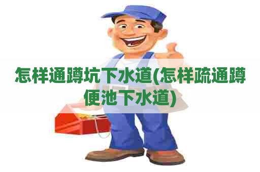 怎样通蹲坑下水道(怎样疏通蹲便池下水道) 怎样通蹲坑下水道(怎样疏通蹲便池下水道)