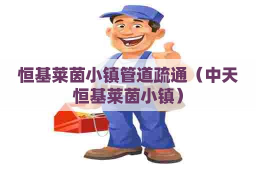 恒基莱茵小镇管道疏通(中天恒基莱茵小镇) 恒基莱茵小镇管道疏通(中天恒基莱茵小镇)