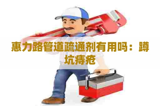 惠力路管道疏通剂有用吗:蹲坑痔疮 惠力路管道疏通剂有用吗:蹲坑痔疮