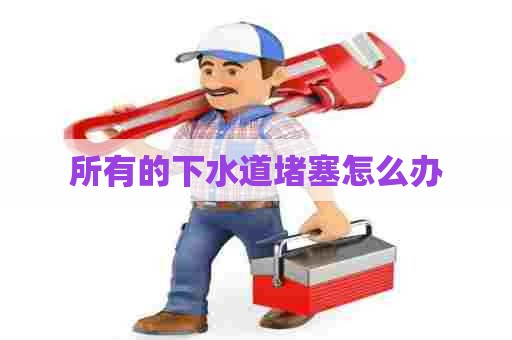 所有的下水道堵塞怎么办