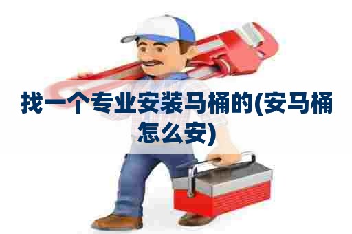 找一个专业安装马桶的(安马桶怎么安)
