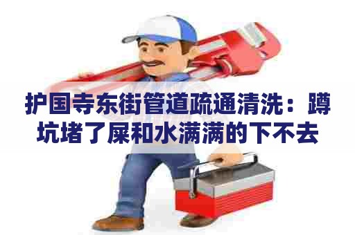 护国寺东街管道疏通清洗：蹲坑堵了屎和水满满的下不去