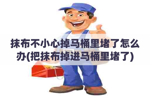 抹布不小心掉马桶里堵了怎么办(把抹布掉进马桶里堵了) 抹布不小心掉马桶里堵了怎么办(把抹布掉进马桶里堵了)