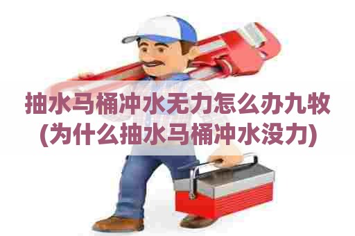 抽水马桶冲水无力怎么办九牧(为什么抽水马桶冲水没力)