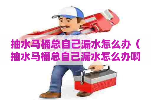 抽水马桶总自己漏水怎么办(抽水马桶总自己漏水怎么办啊) 抽水马桶总自己漏水怎么办(抽水马桶总自己漏水怎么办啊)