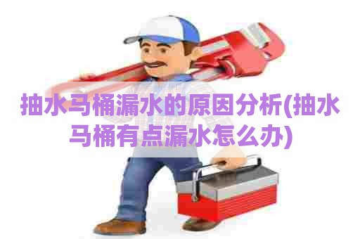 抽水马桶漏水的原因分析(抽水马桶有点漏水怎么办) 抽水马桶漏水的原因分析(抽水马桶有点漏水怎么办)