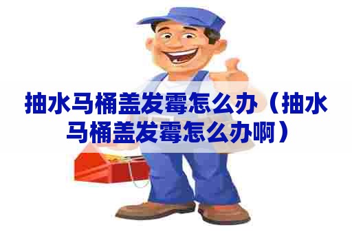 抽水马桶盖发霉怎么办（抽水马桶盖发霉怎么办啊）