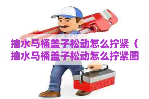 抽水马桶盖子松动怎么拧紧（抽水马桶盖子松动怎么拧紧图解）