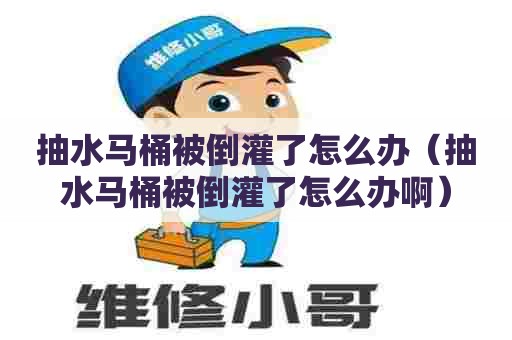 抽水马桶被倒灌了怎么办（抽水马桶被倒灌了怎么办啊）