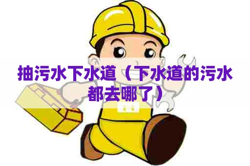 抽污水下水道（下水道的污水都去哪了）