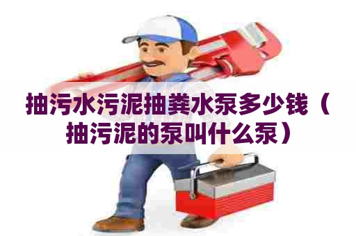 抽污水污泥抽粪水泵多少钱（抽污泥的泵叫什么泵）