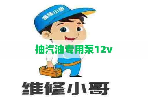 抽汽油专用泵12v
