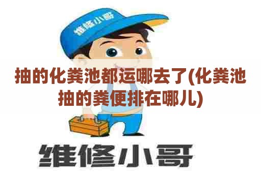 抽的化粪池都运哪去了(化粪池抽的粪便排在哪儿)