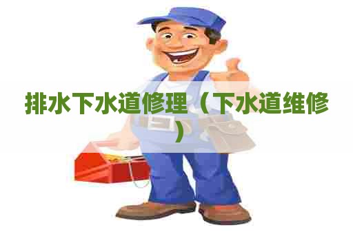 排水下水道修理（下水道维修）