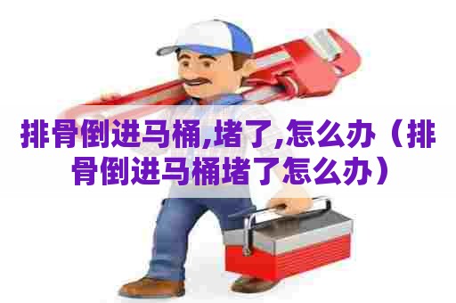 排骨倒进马桶,堵了,怎么办（排骨倒进马桶堵了怎么办）