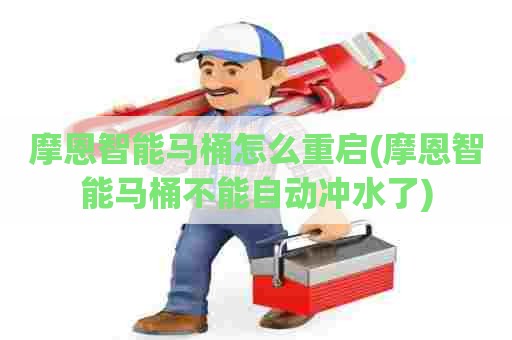 摩恩智能马桶怎么重启(摩恩智能马桶不能自动冲水了)
