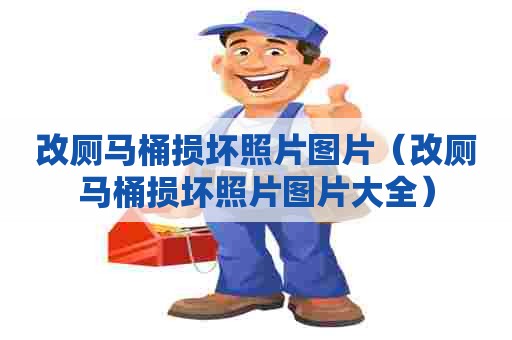 改厕马桶损坏照片图片（改厕马桶损坏照片图片大全）