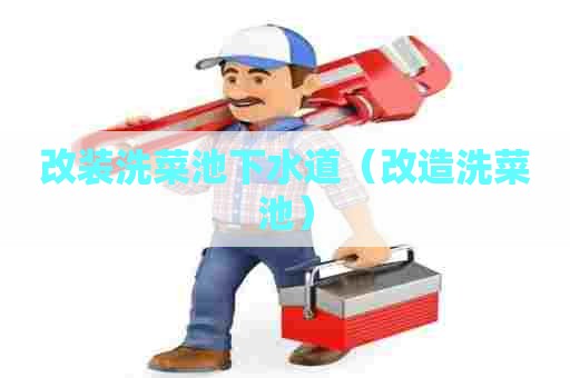改装洗菜池下水道(改造洗菜池) 改装洗菜池下水道(改造洗菜池)