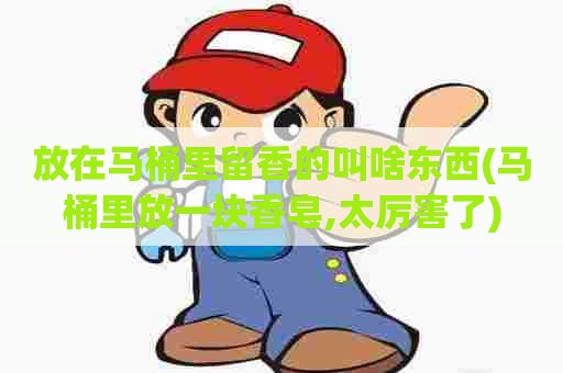 放在马桶里留香的叫啥东西(马桶里放一块香皂,太厉害了) 放在马桶里留香的叫啥东西(马桶里放一块香皂,太厉害了)