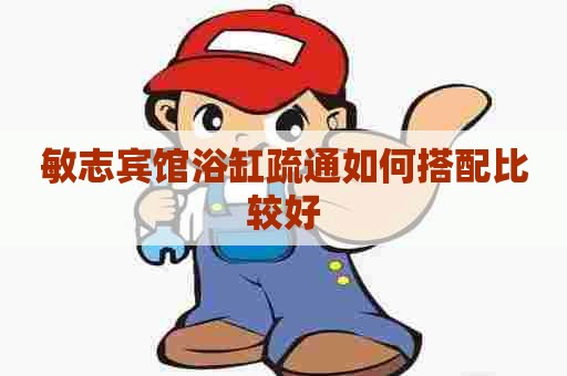 敏志宾馆浴缸疏通如何搭配比较好