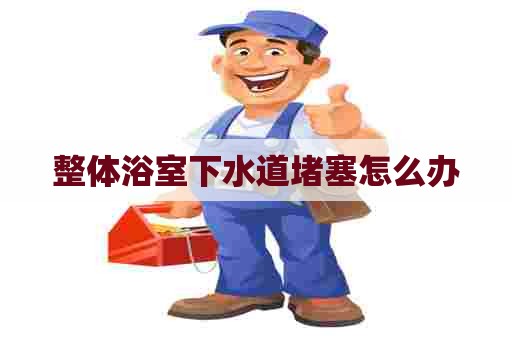 整体浴室下水道堵塞怎么办