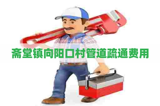 斋堂镇向阳口村管道疏通费用