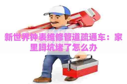 新世界钟表维修管道疏通车:家里蹲坑堵了怎么办 新世界钟表维修管道疏通车:家里蹲坑堵了怎么办