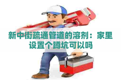 新中街疏通管道的溶剂:家里设置个蹲坑可以吗 新中街疏通管道的溶剂:家里设置个蹲坑可以吗