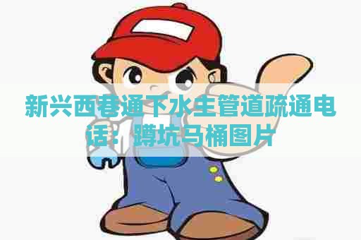 新兴西巷通下水主管道疏通电话:蹲坑马桶图片 新兴西巷通下水主管道疏通电话:蹲坑马桶图片