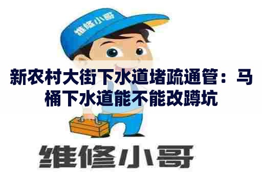 新农村大街下水道堵疏通管:马桶下水道能不能改蹲坑 新农村大街下水道堵疏通管:马桶下水道能不能改蹲坑