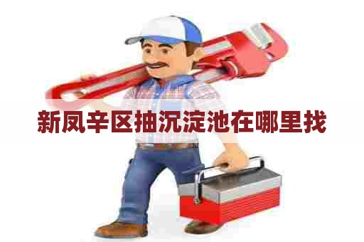 新凤辛区抽沉淀池在哪里找