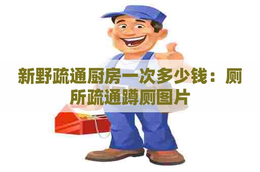 新野疏通厨房一次多少钱:厕所疏通蹲厕图片 新野疏通厨房一次多少钱:厕所疏通蹲厕图片