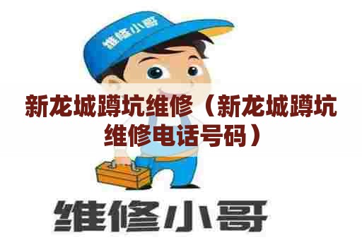 新龙城蹲坑维修(新龙城蹲坑维修电话号码) 新龙城蹲坑维修(新龙城蹲坑维修电话号码)