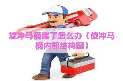 旋冲马桶堵了怎么办(旋冲马桶内部结构图) 旋冲马桶堵了怎么办(旋冲马桶内部结构图)