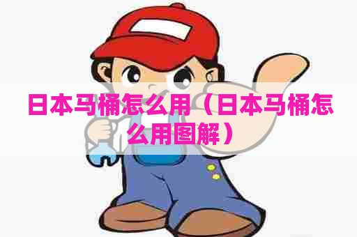 日本马桶怎么用（日本马桶怎么用图解）